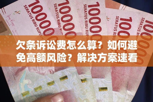 北京欠条诉讼费怎么算？如何避免高额风险？解决方案速看！