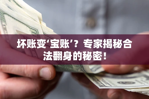 北京坏账变‘宝账’？专家揭秘合法翻身的秘密！