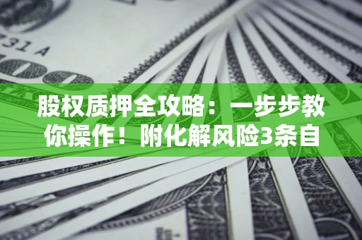 北京股权质押全攻略：一步步教你操作！附化解风险3条自救法则