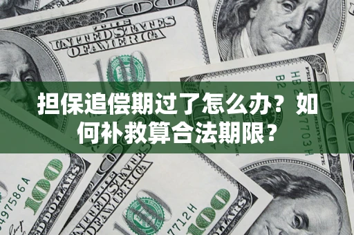 北京担保追偿期过了怎么办？如何补救算合法期限？