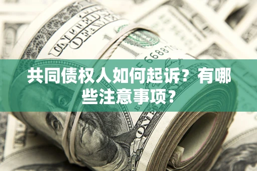 北京共同债权人如何起诉？有哪些注意事项？